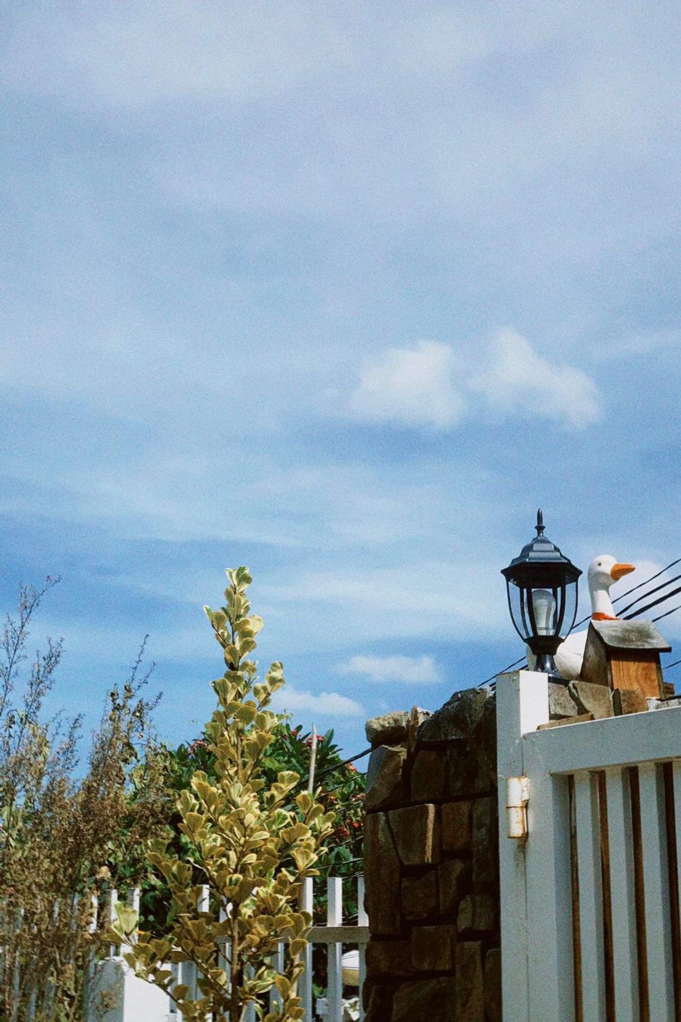 Chai Nho Homestay Da Lat Dış mekan fotoğraf
