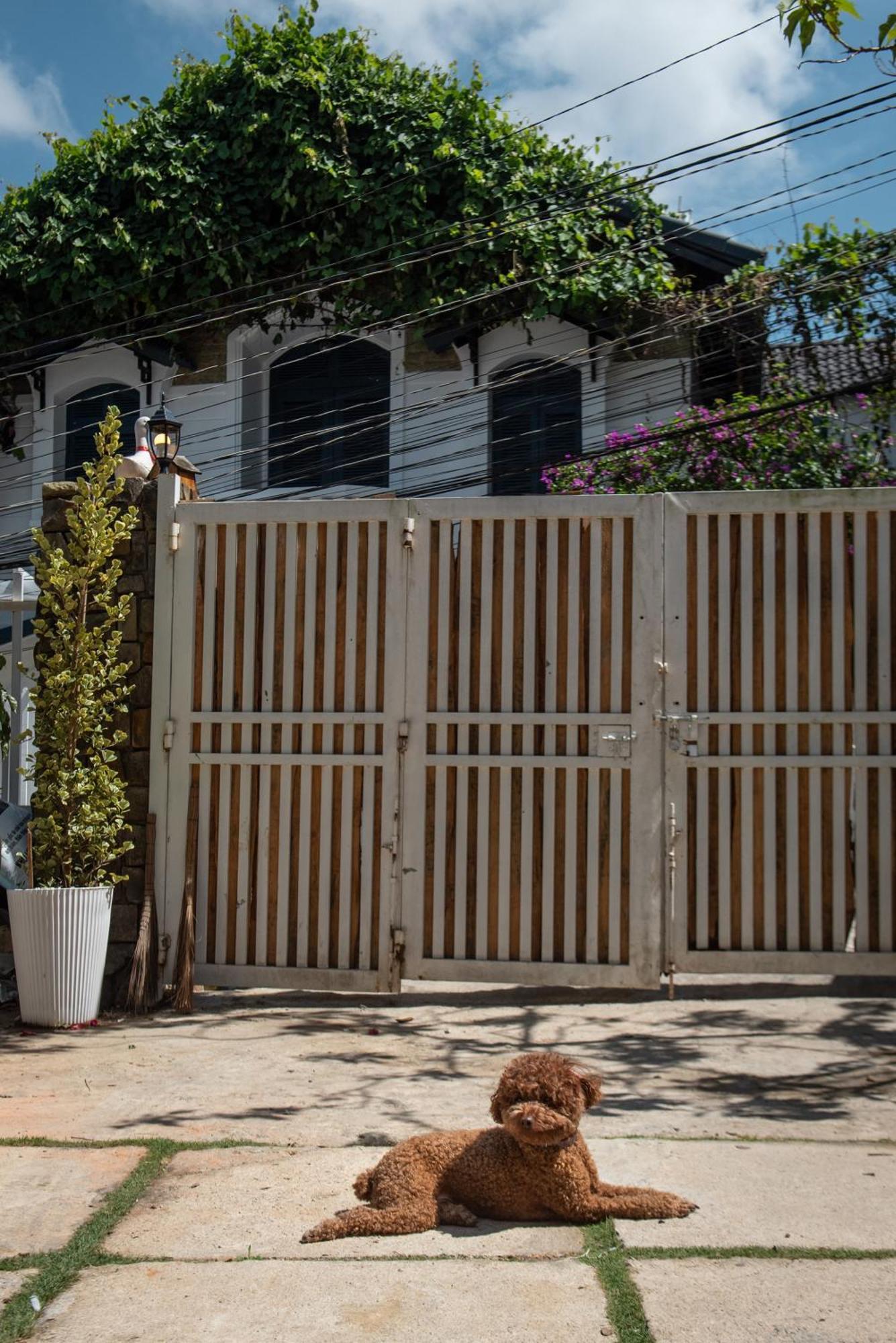 Chai Nho Homestay Da Lat Dış mekan fotoğraf