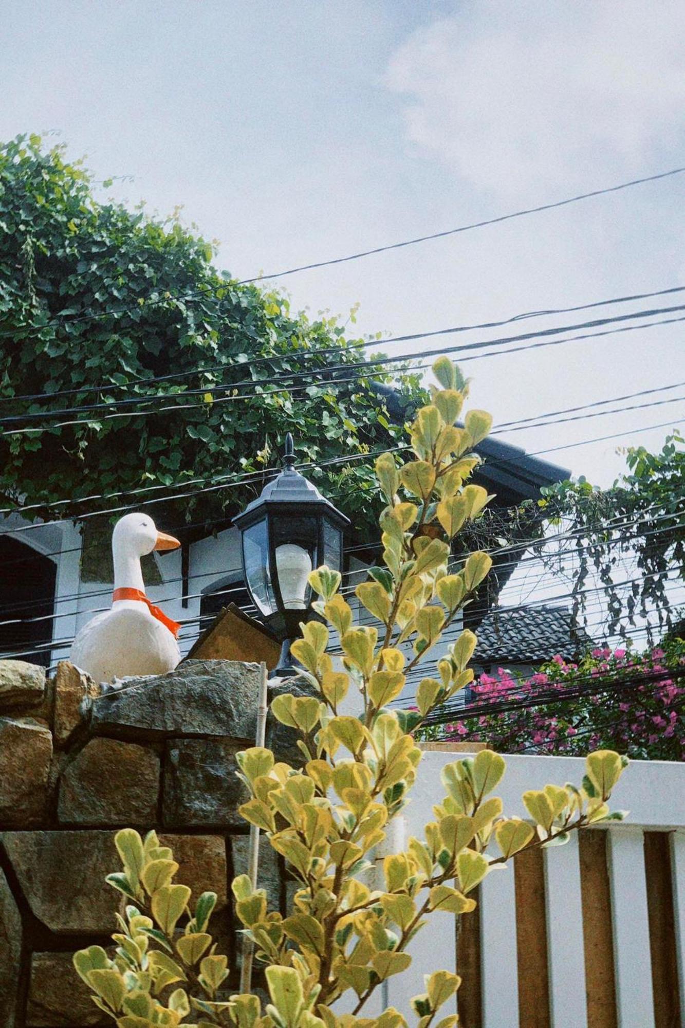 Chai Nho Homestay Da Lat Dış mekan fotoğraf